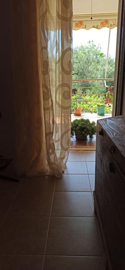 Villa Family Bitri Piqeras Εξωτερικό φωτογραφία